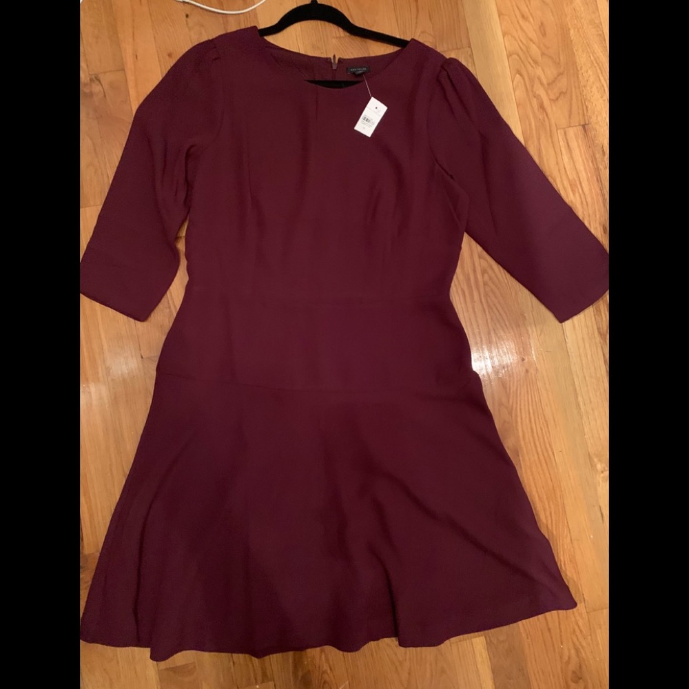 NTW Ann Taylor Dress